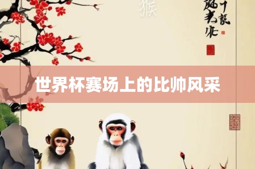 世界杯赛场上的比帅风采