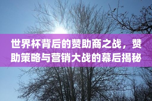 世界杯背后的赞助商之战，赞助策略与营销大战的幕后揭秘