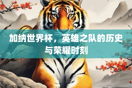 加纳世界杯，英雄之队的历史与荣耀时刻
