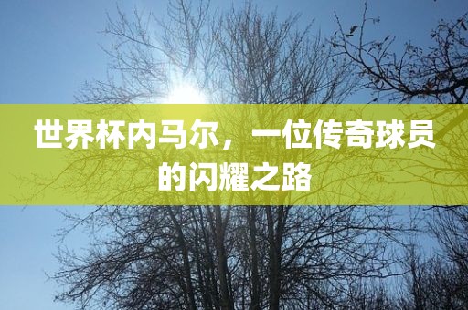 世界杯内马尔，一位传奇球员的闪耀之路
