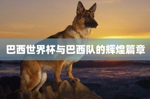 巴西世界杯与巴西队的辉煌篇章