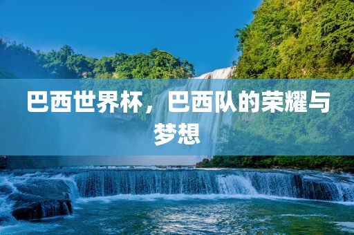 巴西世界杯，巴西队的荣耀与梦想