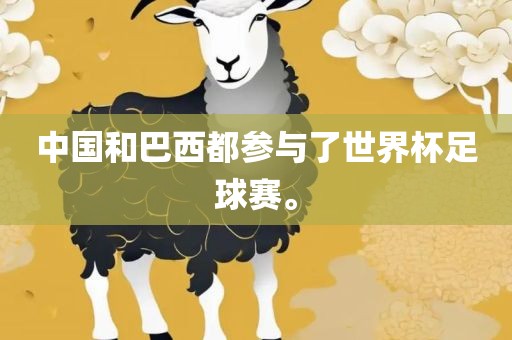 中国和巴西都参与了世界杯足球赛。