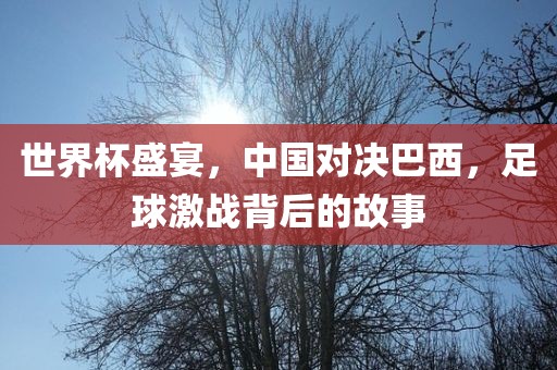 世界杯盛宴，中国对决巴西，足球激战背后的故事