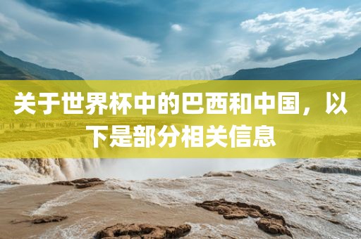 关于世界杯中的巴西和中国，以下是部分相关信息
