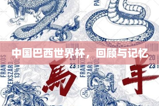 中国巴西世界杯，回顾与记忆