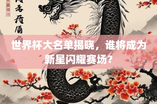 世界杯大名单揭晓，谁将成为新星闪耀赛场？