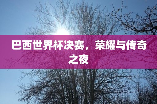 巴西世界杯决赛，荣耀与传奇之夜