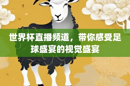 世界杯直播频道，带你感受足球盛宴的视觉盛宴