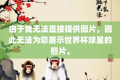 由于我无法直接提供图片，因此无法为您展示世界杯球星的照片。