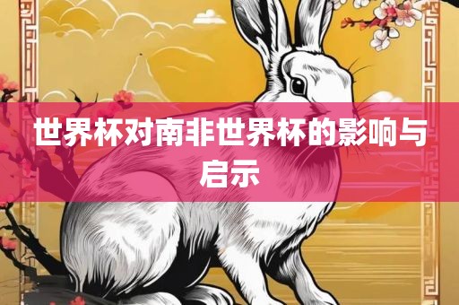 世界杯对南非世界杯的影响与启示
