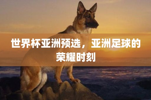 世界杯亚洲预选，亚洲足球的荣耀时刻