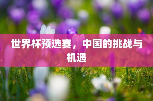 世界杯预选赛，中国的挑战与机遇