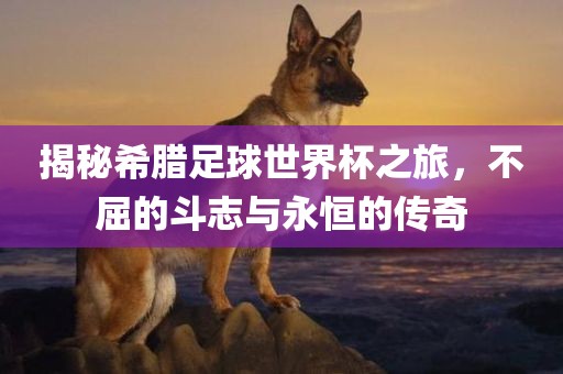 揭秘希腊足球世界杯之旅，不屈的斗志与永恒的传奇
