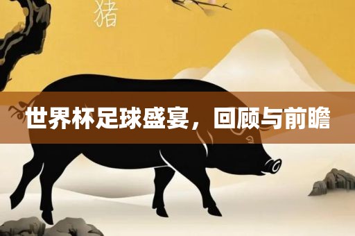 世界杯足球盛宴，回顾与前瞻