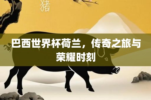 巴西世界杯荷兰，传奇之旅与荣耀时刻
