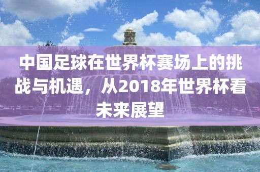 中国足球在世界杯赛场上的挑战与机遇，从2018年世界杯看未来展望