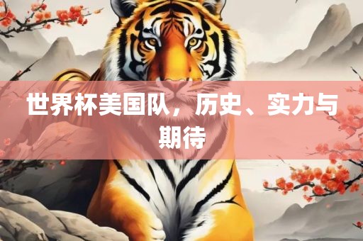 世界杯美国队，历史、实力与期待