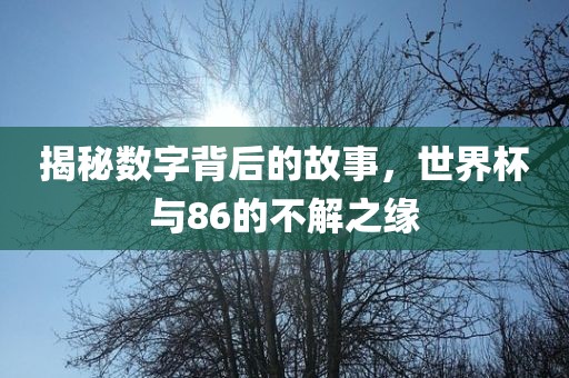 揭秘数字背后的故事，世界杯与86的不解之缘