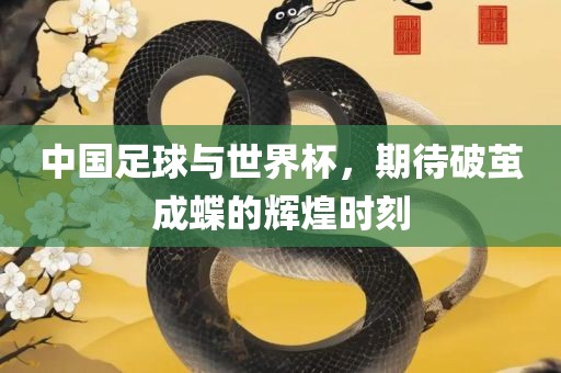 中国足球与世界杯，期待破茧成蝶的辉煌时刻