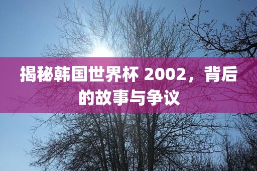 揭秘韩国世界杯 2002，背后的故事与争议