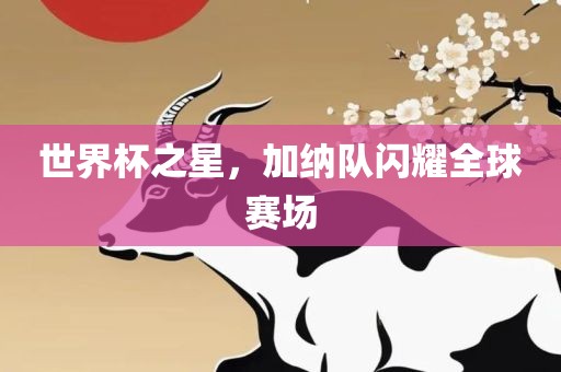 世界杯之星，加纳队闪耀全球赛场