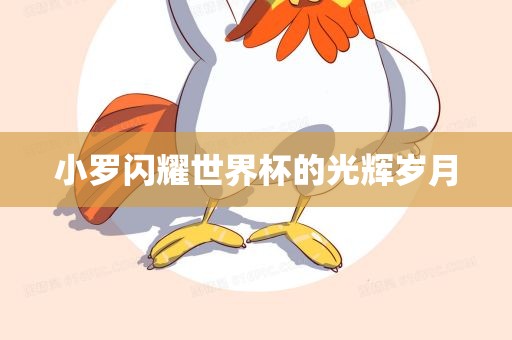 小罗闪耀世界杯的光辉岁月
