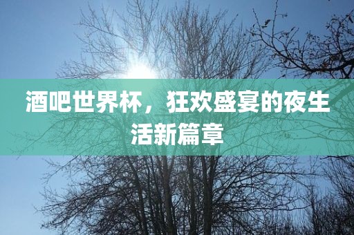酒吧世界杯，狂欢盛宴的夜生活新篇章