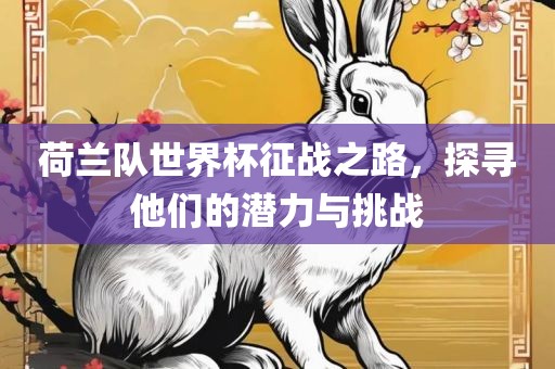 荷兰队世界杯征战之路，探寻他们的潜力与挑战