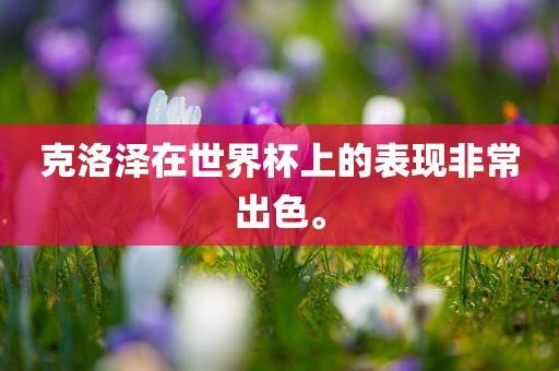 克洛泽在世界杯上的表现非常出色。