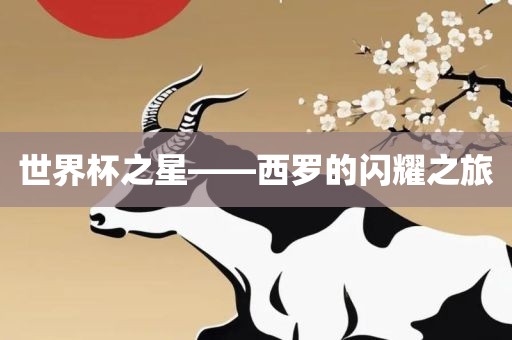 世界杯之星——西罗的闪耀之旅