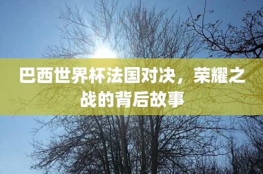 巴西世界杯法国对决，荣耀之战的背后故事