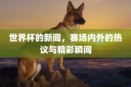 世界杯的新闻，赛场内外的热议与精彩瞬间