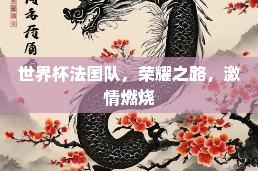 世界杯法国队，荣耀之路，激情燃烧