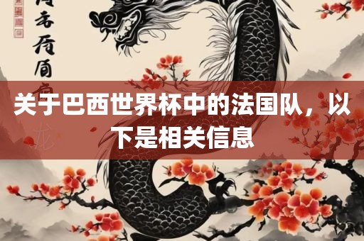 关于巴西世界杯中的法国队，以下是相关信息
