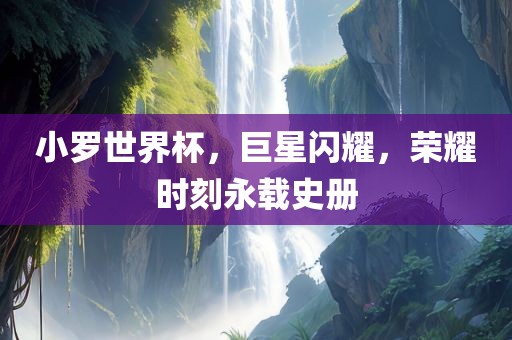 小罗世界杯，巨星闪耀，荣耀时刻永载史册