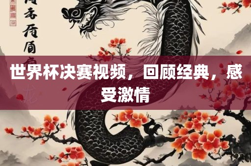 世界杯决赛视频，回顾经典，感受激情