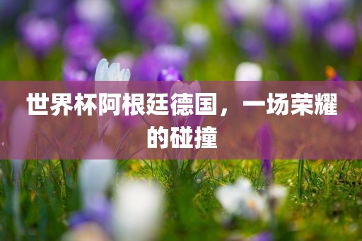 世界杯阿根廷德国，一场荣耀的碰撞