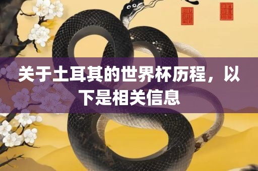 关于土耳其的世界杯历程，以下是相关信息