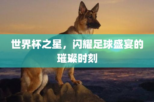 世界杯之星，闪耀足球盛宴的璀璨时刻