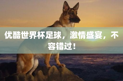 优酷世界杯足球，激情盛宴，不容错过！