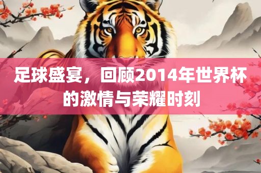 足球盛宴，回顾2014年世界杯的激情与荣耀时刻