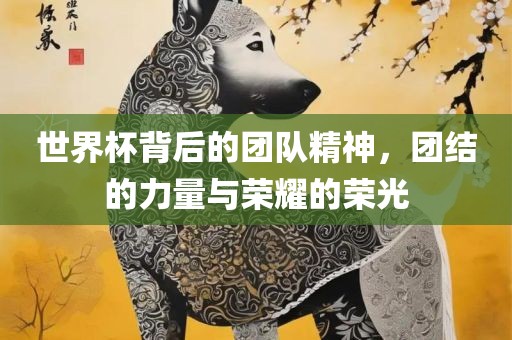 世界杯背后的团队精神，团结的力量与荣耀的荣光