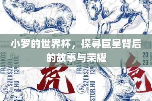 小罗的世界杯，探寻巨星背后的故事与荣耀