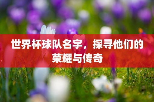 世界杯球队名字，探寻他们的荣耀与传奇