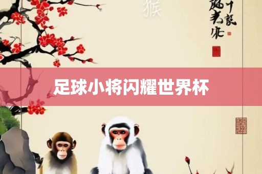足球小将闪耀世界杯