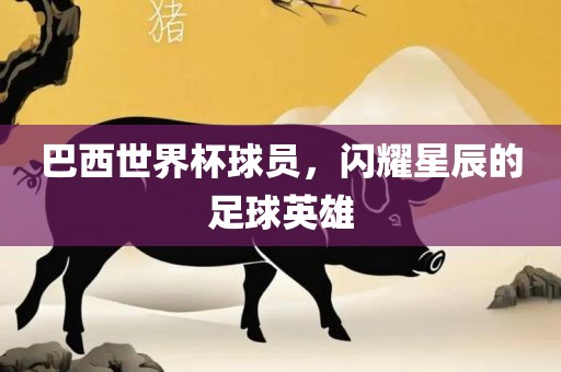 巴西世界杯球员，闪耀星辰的足球英雄