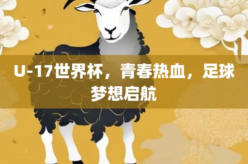 U-17世界杯，青春热血，足球梦想启航