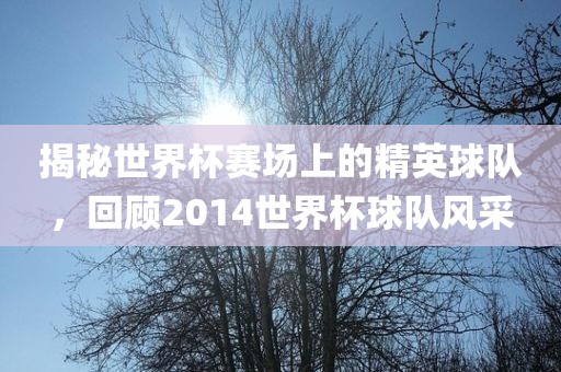 揭秘世界杯赛场上的精英球队，回顾2014世界杯球队风采