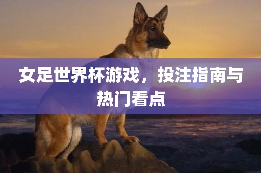 女足世界杯游戏，投注指南与热门看点